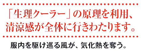 N[[̌p
